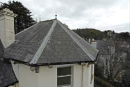 fkillineybeforeexternal 1530.jpg